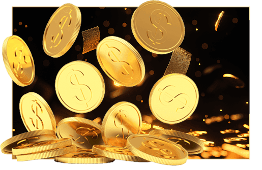 Start Making Profit Now